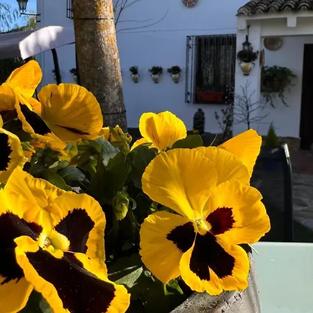 Cortijo Rodeo. Rural Prázdninový dům *